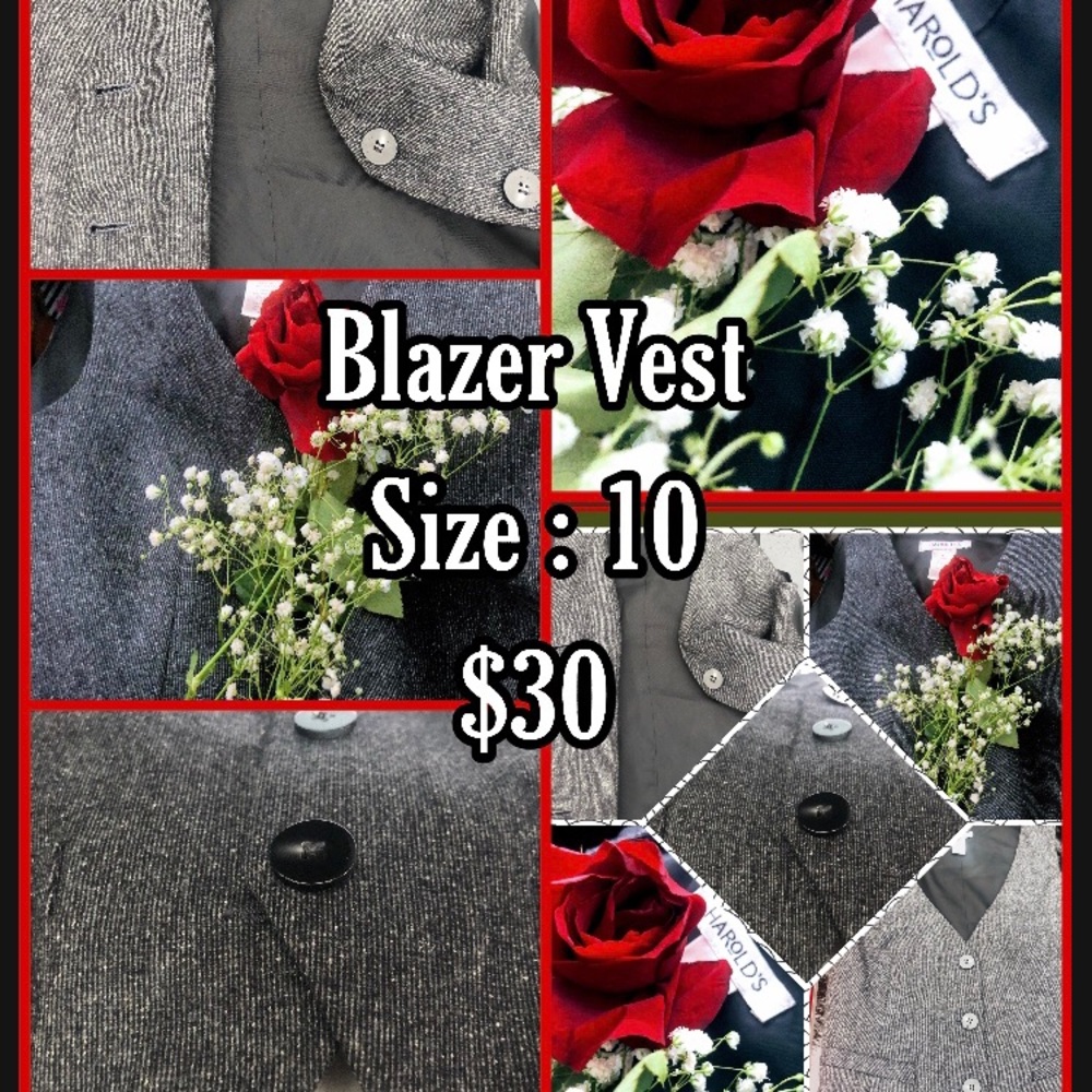 Harold’s Special Occasion Vest